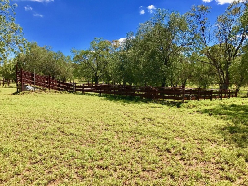 366 Freemans Road, Roma QLD 4455