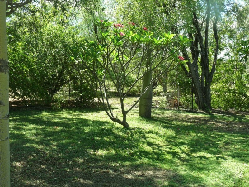 366 Freemans Road, Roma QLD 4455