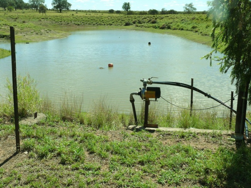 366 Freemans Road, Roma QLD 4455