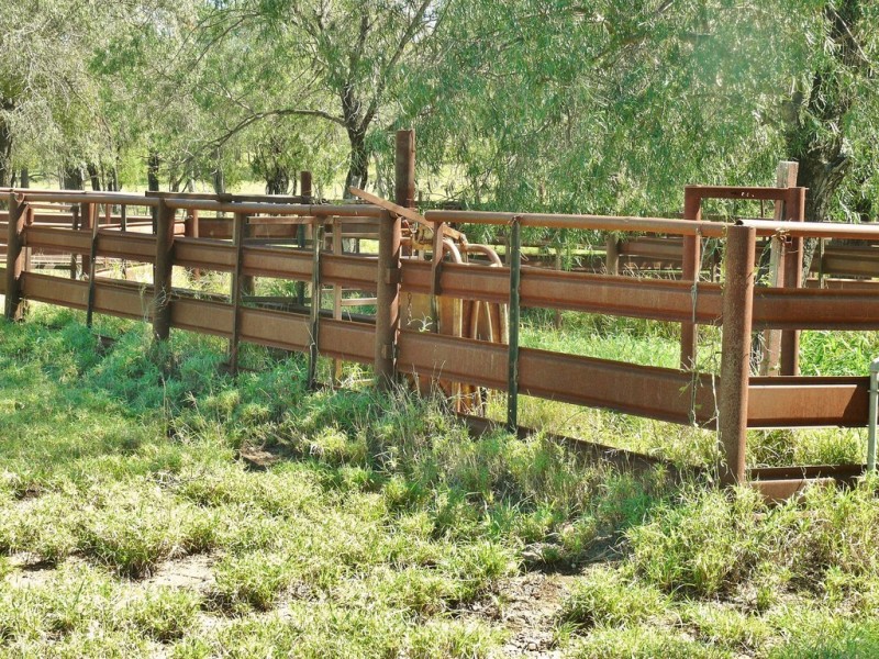 366 Freemans Road, Roma QLD 4455