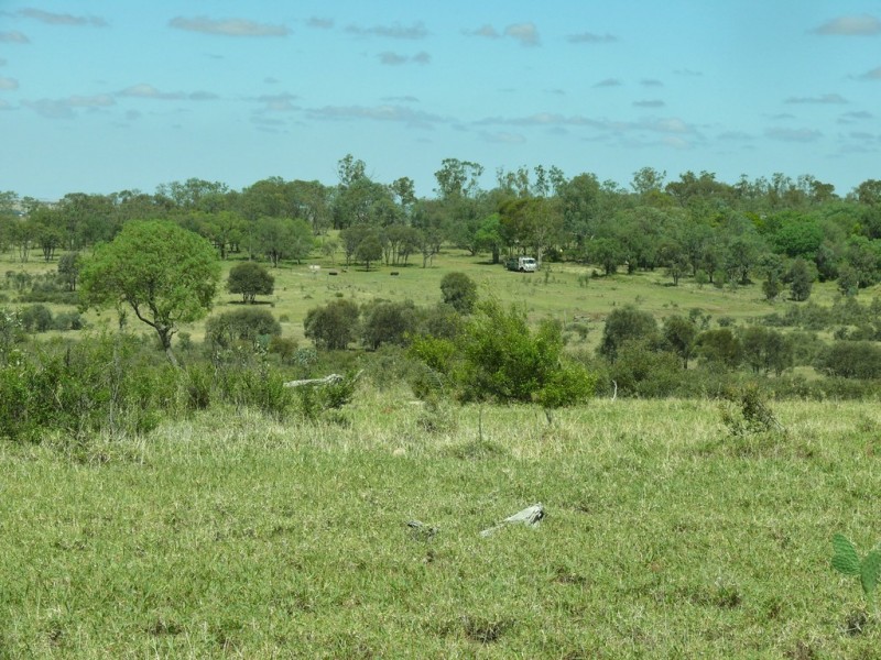 366 Freemans Road, Roma QLD 4455