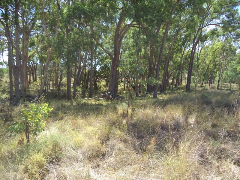 “Oakville” Myall Park Road, Miles QLD 4415