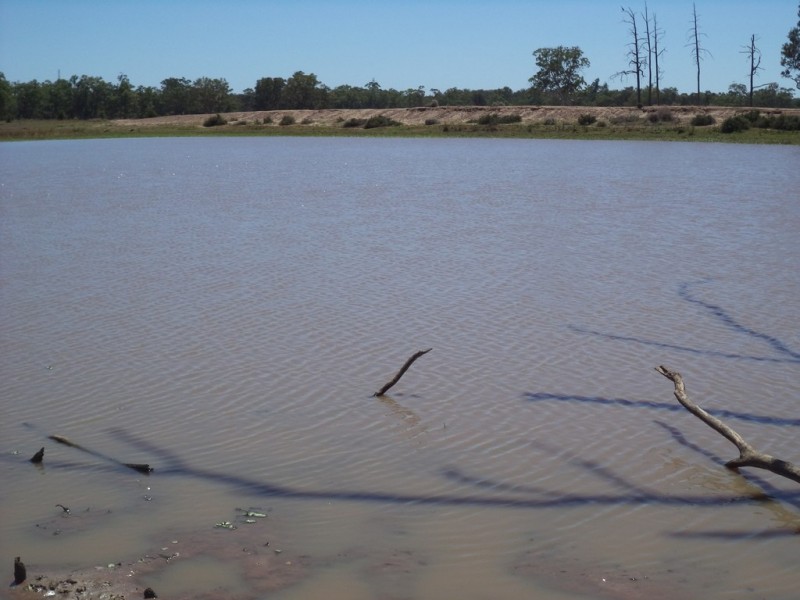 “Oakville” Myall Park Road, Miles QLD 4415