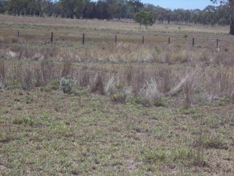 “Oakville” Myall Park Road, Miles QLD 4415