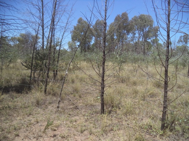 “Oakville” Myall Park Road, Miles QLD 4415