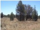513 Old Cameby Road, Miles QLD 4415