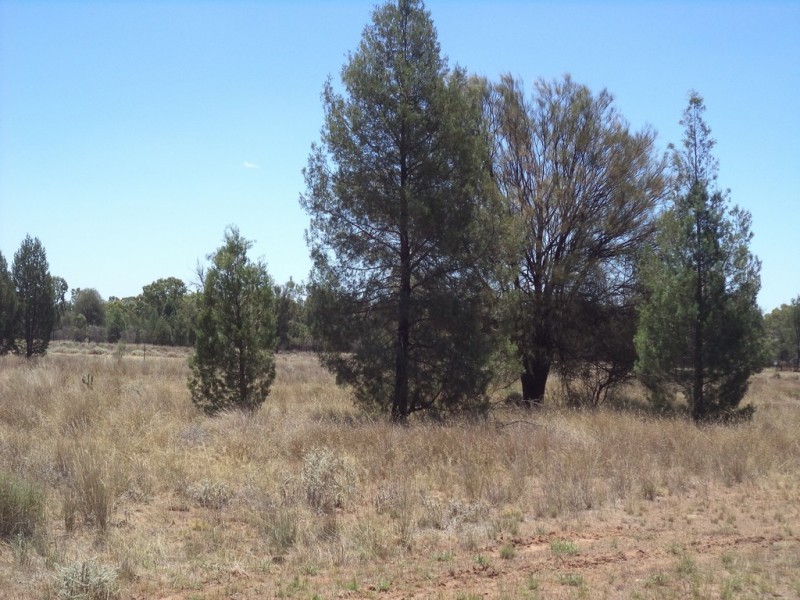 513 Old Cameby Road, Miles QLD 4415