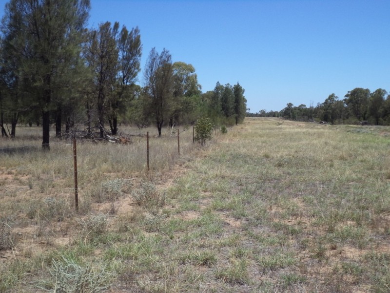 513 Old Cameby Road, Miles QLD 4415