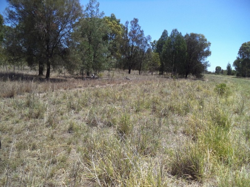 513 Old Cameby Road, Miles QLD 4415