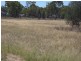 513 Old Cameby Road, Miles QLD 4415