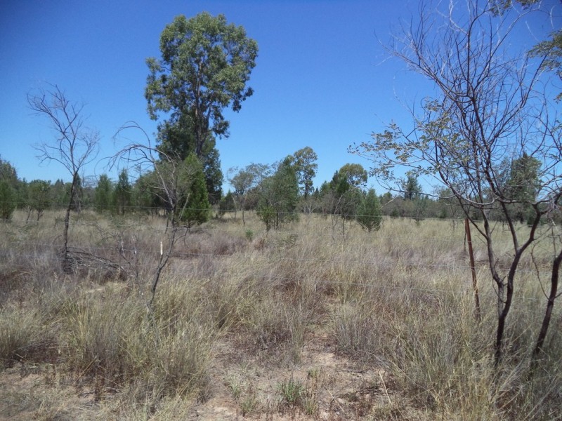 513 Old Cameby Road, Miles QLD 4415