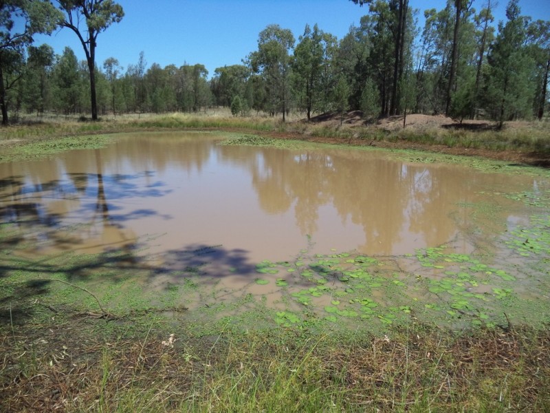 513 Old Cameby Road, Miles QLD 4415