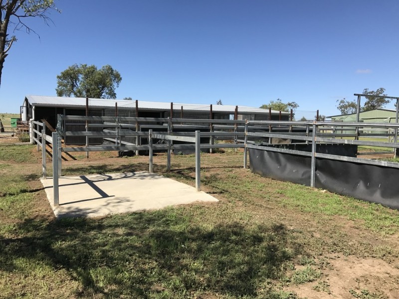 130 Woodside Road, Roma QLD 4455