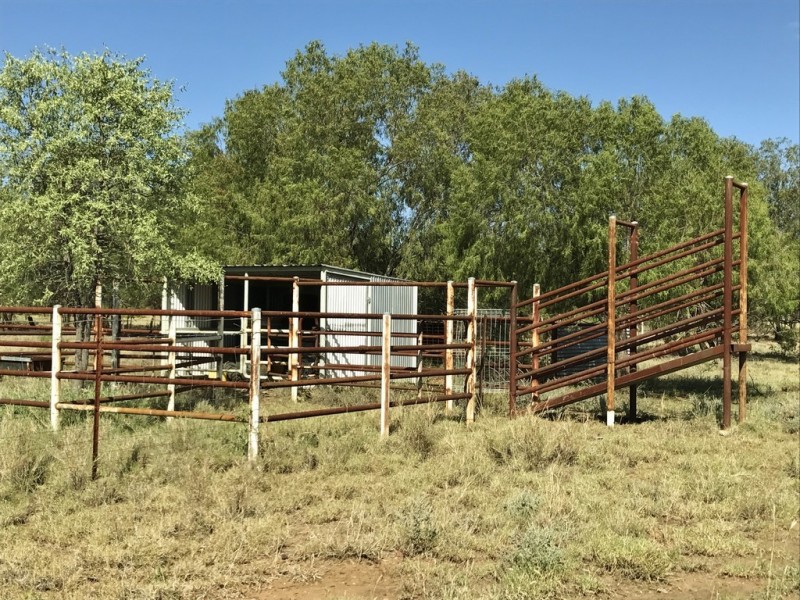 382 Hartleys Lane, Roma QLD 4455