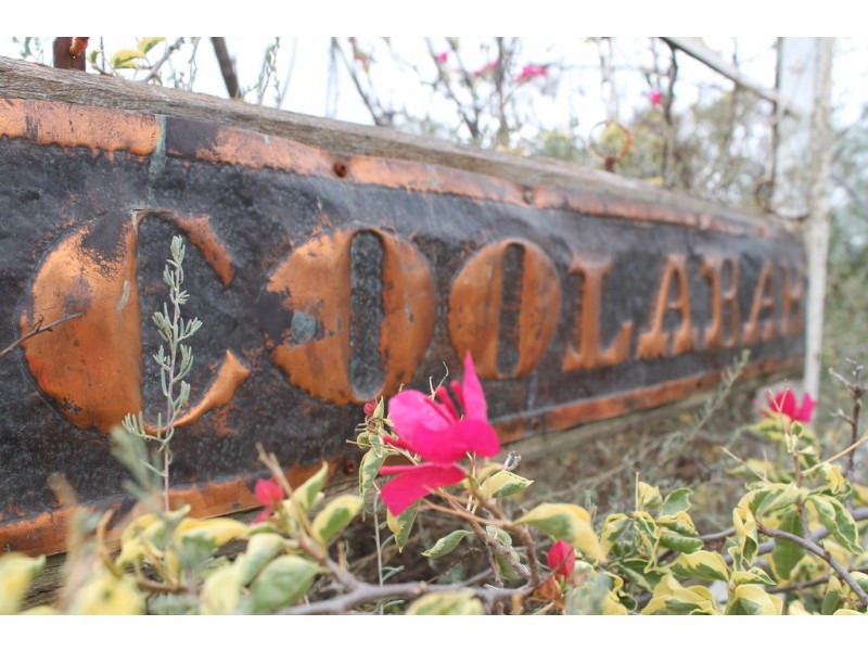 25 Francis Street, Cunnamulla QLD 4490