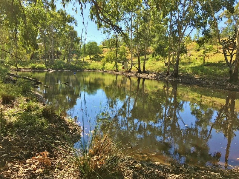 407 Lanreef Road, Roma QLD 4455