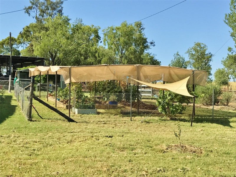 407 Lanreef Road, Roma QLD 4455