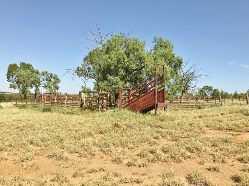 407 Lanreef Road, Roma QLD 4455