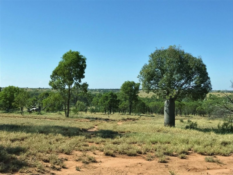 407 Lanreef Road, Roma QLD 4455