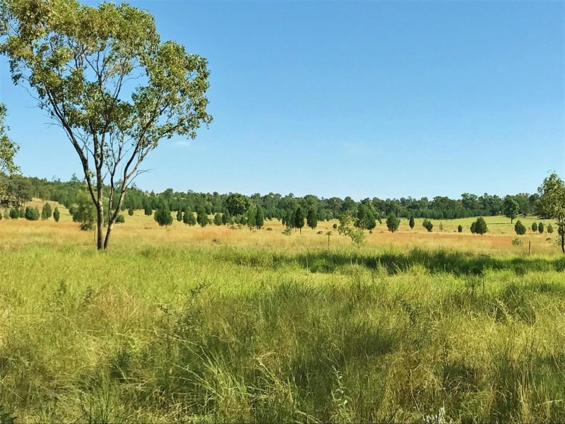 407 Lanreef Road, Roma QLD 4455