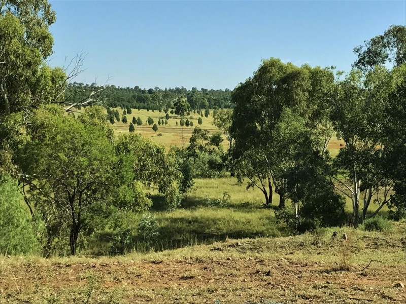 407 Lanreef Road, Roma QLD 4455