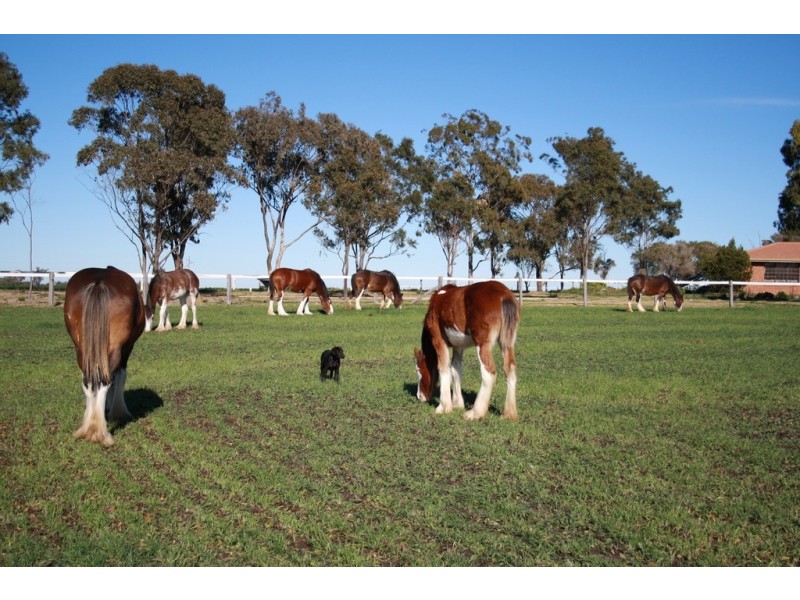 “Bracknell Lodge”, Toowoomba QLD 4350