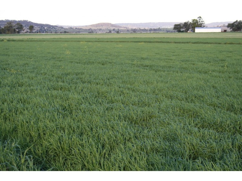 “Bracknell Lodge”, Toowoomba QLD 4350