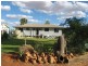 67 Jabiru Street, Quilpie QLD 4480