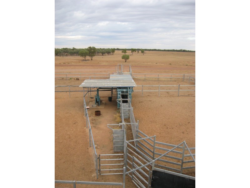 ‘ South Comongin/Nyngarie’, Quilpie QLD 4480