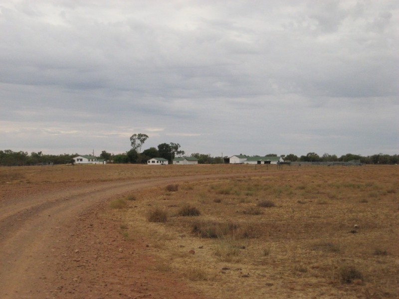 ‘ South Comongin/Nyngarie’, Quilpie QLD 4480