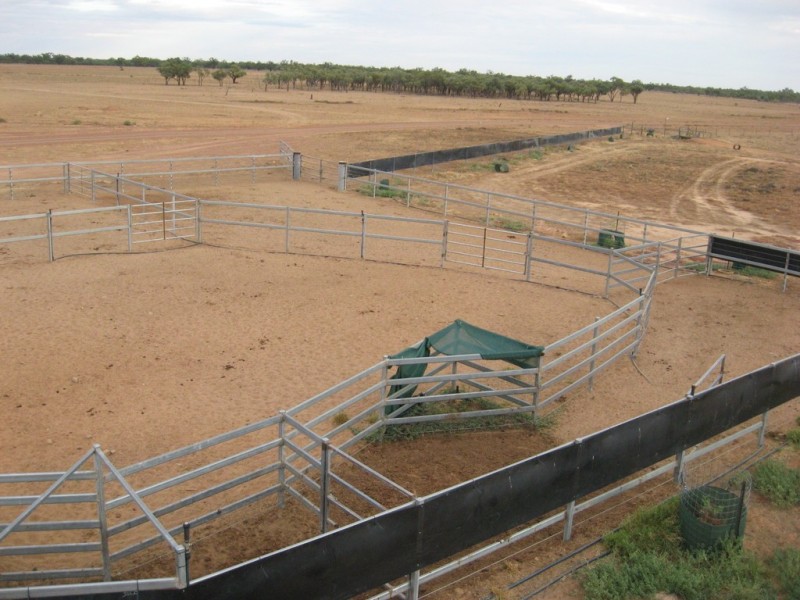 ‘ South Comongin/Nyngarie’, Quilpie QLD 4480