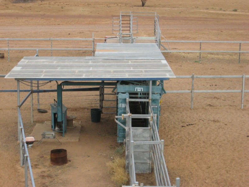 ‘ South Comongin/Nyngarie’, Quilpie QLD 4480