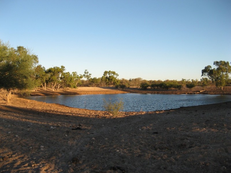 ‘ South Comongin/Nyngarie’, Quilpie QLD 4480