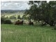 ” OAKLEIGH”, Upper Pilton QLD 4361
