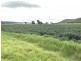 ” OAKLEIGH”, Upper Pilton QLD 4361