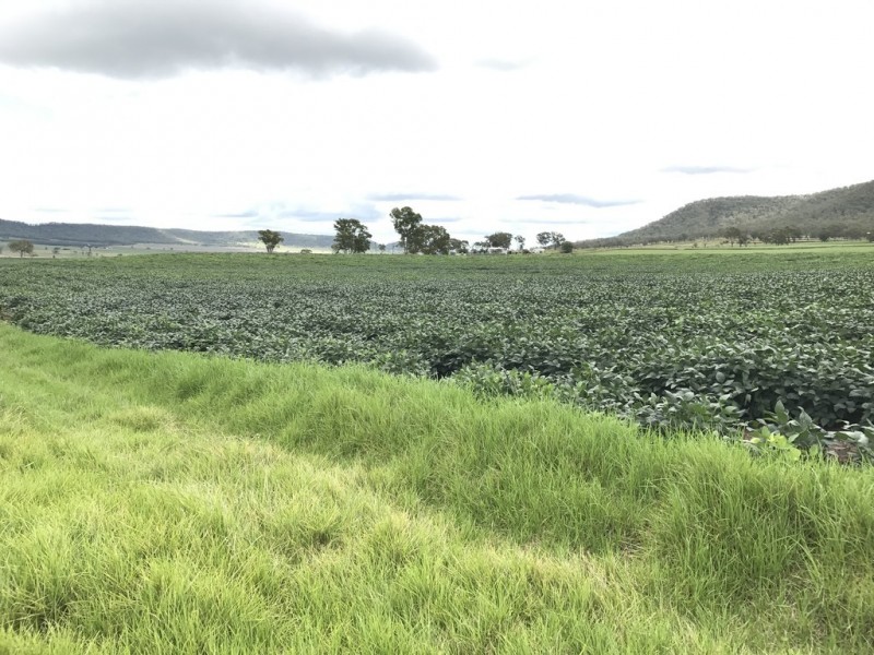 ” OAKLEIGH”, Upper Pilton QLD 4361