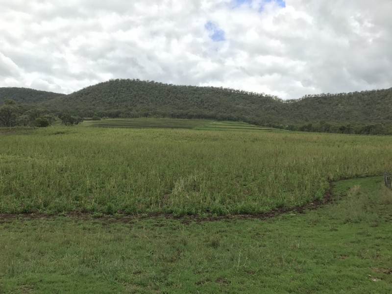 ” OAKLEIGH”, Upper Pilton QLD 4361