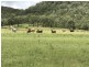 ” OAKLEIGH”, Upper Pilton QLD 4361