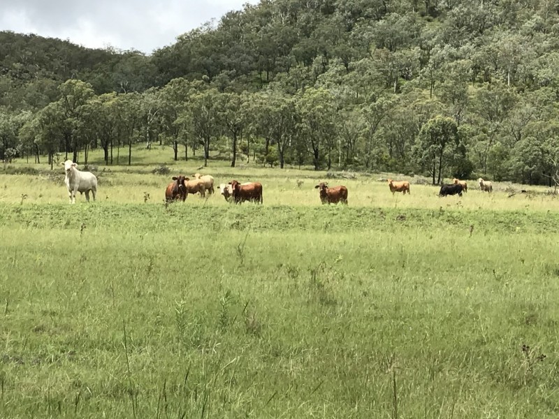 ” OAKLEIGH”, Upper Pilton QLD 4361