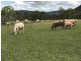 ” OAKLEIGH”, Upper Pilton QLD 4361
