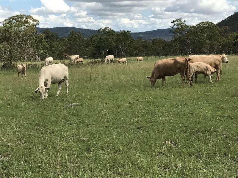 ” OAKLEIGH”, Upper Pilton QLD 4361