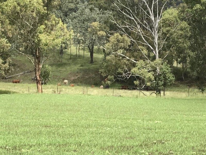 ” OAKLEIGH”, Upper Pilton QLD 4361
