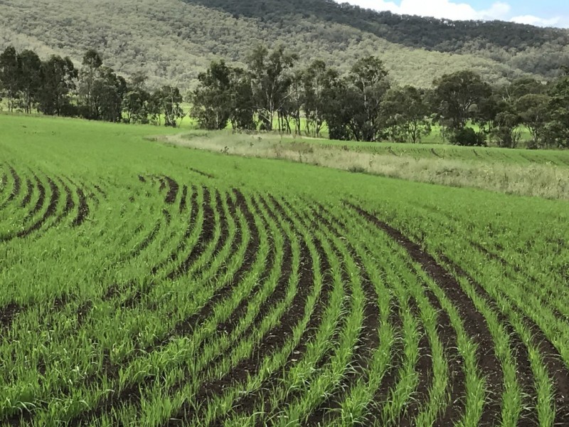 ” OAKLEIGH”, Upper Pilton QLD 4361