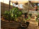 39 Quarrion Street, Quilpie QLD 4480