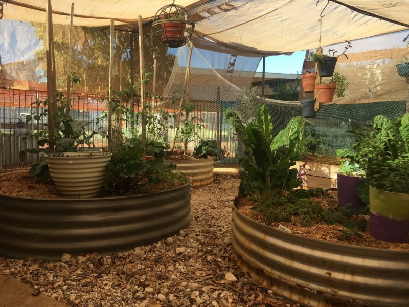 39 Quarrion Street, Quilpie QLD 4480