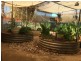 39 Quarrion Street, Quilpie QLD 4480