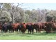 ” Karinya “, Hannaford QLD 4406