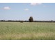 ” Karinya “, Hannaford QLD 4406