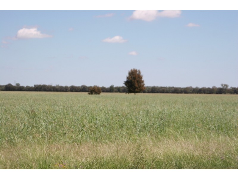 ” Karinya “, Hannaford QLD 4406