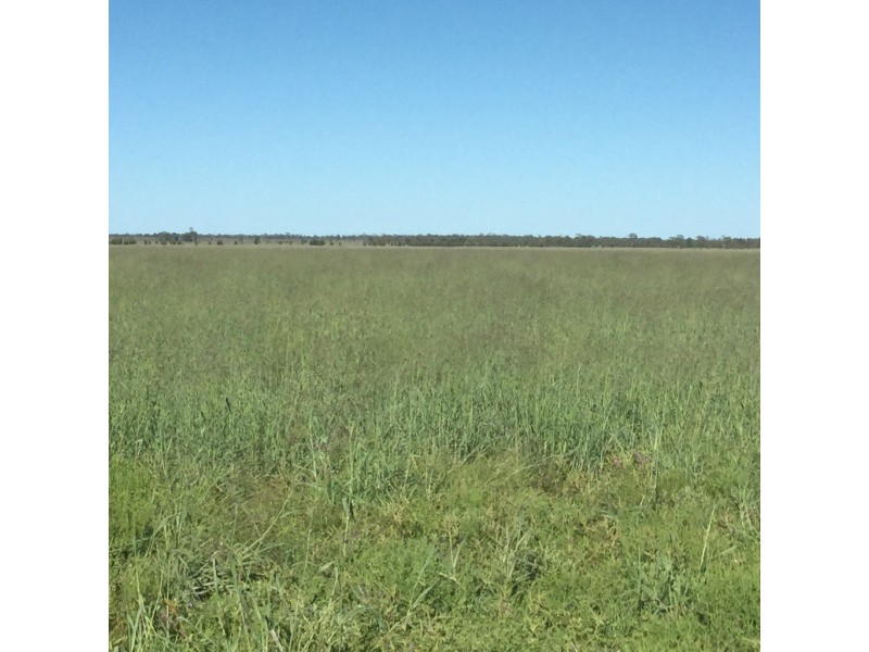 ” Karinya “, Hannaford QLD 4406